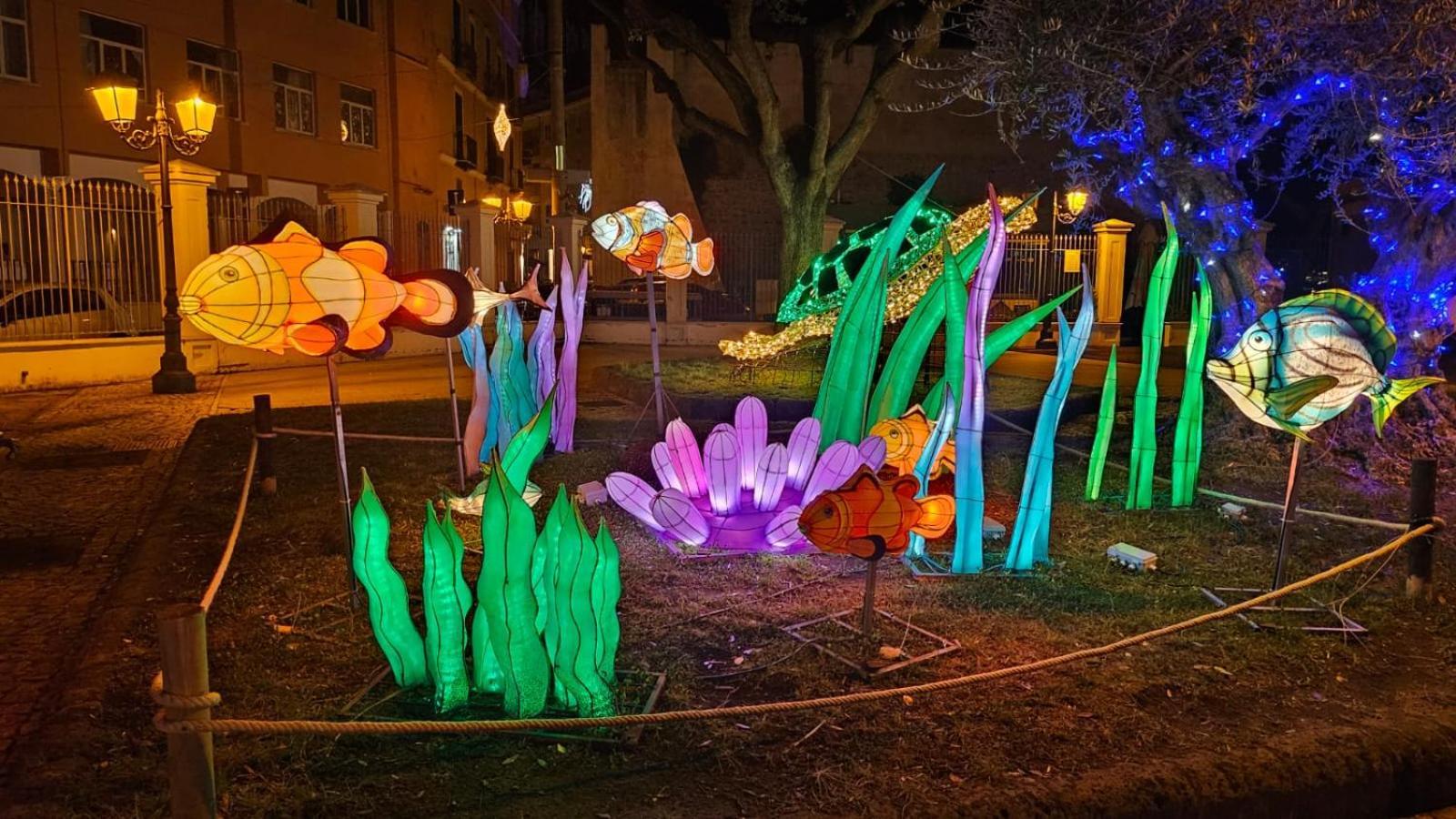 Gliu Vico Bed & Breakfast Formia Exterior photo